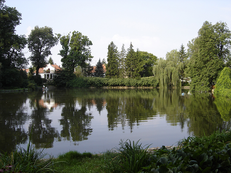 4 Evszak A Zirci Arboretumrol 319