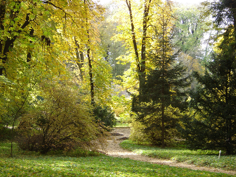 4 Evszak A Zirci Arboretumrol 463