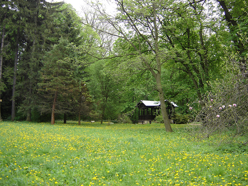 4 Evszak A Zirci Arboretumrol 72