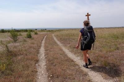 B2ap3 Thumbnail DSC01764