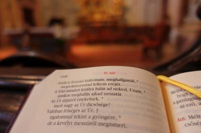 B2ap3 Thumbnail DSC02129