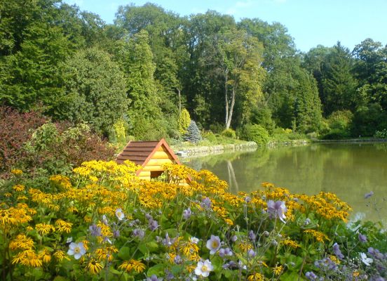 A Zirci Ciszterci Arborétum gyógynövényei