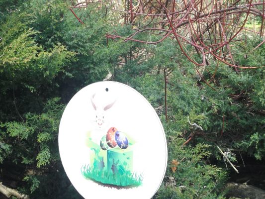 Arborétumi füles les