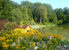 A Zirci Ciszterci Arborétum gyógynövényei