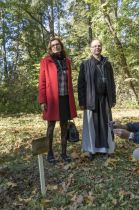 Libanoni cédrus a Ciszterci Arborétumban