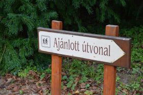 Arborétumunk újra látogatható!