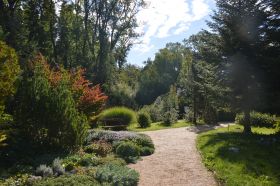 "Még nyílnak a völgyben a kerti virágok..."