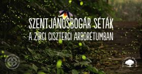 Szentjánosbogár séták a Zirci Ciszterci Arborétumban