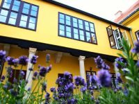 11403085 458298147660780 2637306567885534061 N